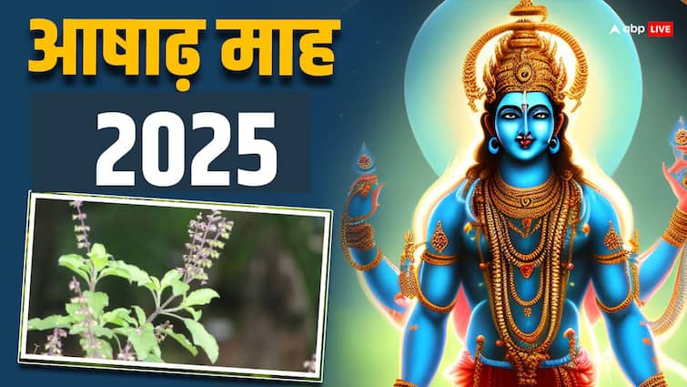 आषाढ़ माह के दौरान तुलसी में चढ़ाएं ये 3 चीजें, घर में बनी रहेगी खुशहाली