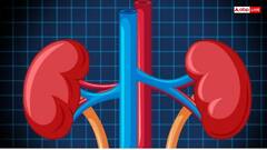 सुबह उठते ही नजर आते हैं किडनी डैमिज के ये 6 लक्षण, संकेत दिखते ही भागे डॉक्टर के पास