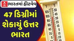 India Heatwave 2025: 47 ડિગ્રીમાં શેકાયું ઉત્તર ભારત, જુઓ ગરમીનો અહેવાલ