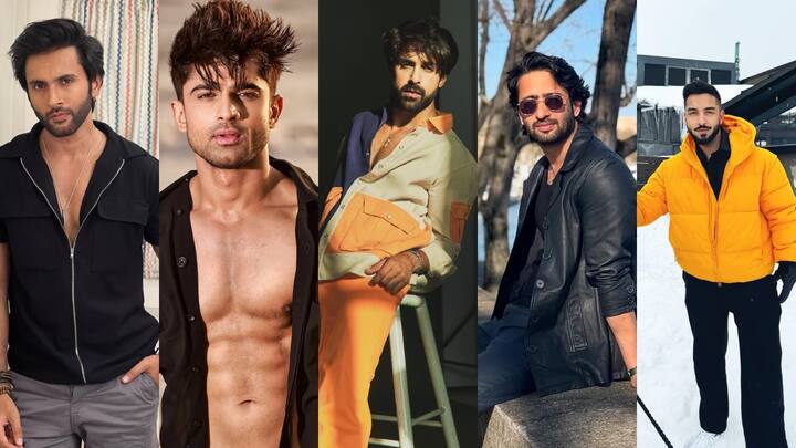 मिश्कत वर्मा,अभिषेक कुमार, अक्षय बिंद्रा,शहीर शेख, रोहित सुचांती पॉपुलर एक्टर के लिस्ट में छठे नंबर पर है.