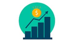 India Cuts Phenol Import Dependency As Domestic Output Rises