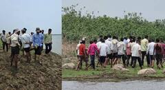 धक्कादायक! अधर पुस प्रकल्पात 43 जनावरे मृत्यूमुखी; धरणात वीज कोसळल्यामुळे दुर्घटना घडल्याची शक्यता, बळीराजा हवालदिल