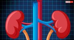 ਸਵੇਰੇ ਉੱਠਦਿਆਂ ਹੀ ਨਜ਼ਰ ਆਉਂਦੇ ਆਹ 6 ਲੱਛਣ, ਤਾਂ ਕਿਡਨੀ ਹੋ ਗਈ ਡੈਮੇਜ, ਤੁਰੰਤ ਜਾਓ ਡਾਕਟਰ ਕੋਲ