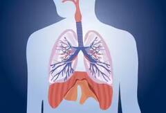 ધૂમ્રપાન કરવાના આ છ મોટા નુકસાન, શું તમે પણ દરરોજ સિગારેટ પીઓ છો?