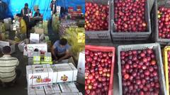 हिमाचल: शिमला फल मंडी में स्टोन फ्रूट की बहार, बागवानों को मिल रहे अच्छे दाम