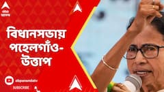 Mamata Banerjee: কীভাবে জঙ্গি অনুপ্রবেশ? পহেলগাঁওকাণ্ডের প্রসঙ্গ টেনে বিধানসভায় সরব মুখ্যমন্ত্রী