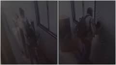 Mumbai Man Throws Cat From 9th Floor In Malad, Chilling Incident Caught On CCTV