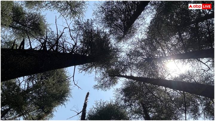 आप लैंसडाउन का रुख कर सकते हैं, जो दिल्ली से 250 किमी दूर स्थित है. यह शांत हिल स्टेशन भीड़-भाड़ से दूर है और नेचर लवर्स को अपनी ओर खींचता है. लैंसडाउन में ट्रैकिंग, कैंपिंग और तारा देवी मंदिर से हिमालय के मनोरम दृश्य देखे जा सकते हैं.