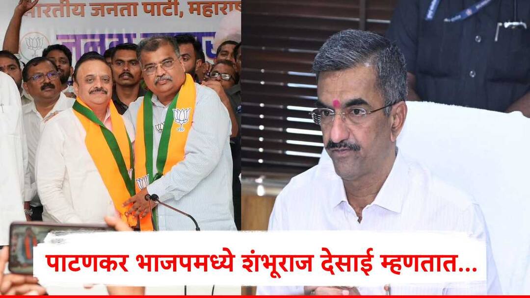 Shambhuraj Desai : भाजपचा शतप्रतिशतचा नारा, सत्यजितसिंह पाटणकर यांच्या हातात कमळ, आता शंभूराज देसाई म्हणाले प्रथम दोन नेत्यांसोबत बोलणार Shambhuraj Desai unhappy because Satyajitsinh Patankar join BJP traditional opponent he will talk Devendra Fadnavis Eknath Shinde Shambhuraj Desai : भाजपचा शतप्रतिशतचा नारा, सत्यजितसिंह पाटणकर यांच्या हातात कमळ, आता शंभूराज देसाई म्हणाले प्रथम दोन नेत्यांसोबत बोलणार