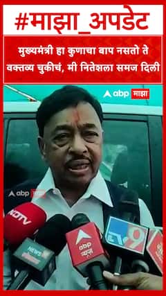 Narayan Rane On Nitesh Rane : मुख्यमंत्री हा कुणाचा बाप नसतो तेवक्तव्य चुकीचं, मी नितेशला समज दिली