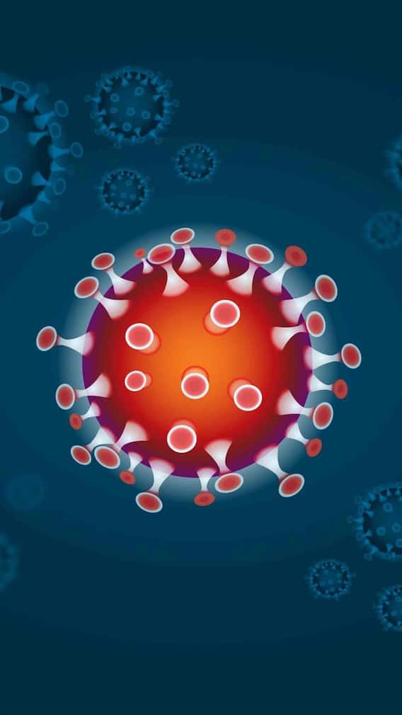 इस राज्य में दर्ज हुआ कोरोना का पहला मामला, अलर्ट जारी