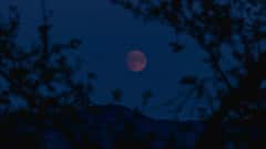 Strawberry Moon 2025 : आजची रात्र असणार सर्वात सुंदर! पौर्णिमेच्या रात्री आकाशात दिसणार 'स्ट्रॉबेरी मून'; भारतात कधी आणि कसा दिसणार?