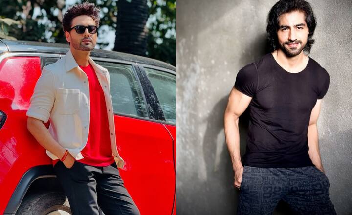 लिस्ट में इस बार पहले नंबर पर रोहित पुरोहित और हर्षद चोपड़ा हैं. दर्शकों को इन दोनों एक्टर्स की एक्टिंग काफी पसंद है.