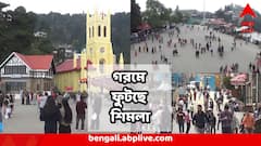 প্রকৃতির এ কী খেলা! গরমে ফুটছে শৈলশহর শিমলা, গলছে পাহাড়ের বরফ, ফুঁসছে নদী