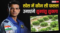 ग्रुप कैप्टन शुभांशु शुक्ला स्पेस में करेंगे इस चीज की खेती, बेहद अहम है ये प्रयोग