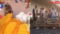 शख्स की मौत पर मिलने आया हनुमान का अवतार! कफन हटाया, माथा चूमा और फिर...देखें वीडियो