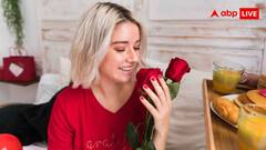 क्यों मनाया जाता है नेशनल रेड रोज डे, यह वैलेंटाइन डे वाले रोज डे से कितना अलग?