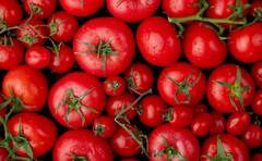 गर्मियों में इन चीजों से मिलेगा भर-भरकर कोलेजन, ऐसे डाइट में शामिल कर सकते हैं आप