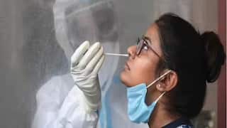 Corona Update: कोरोनाच्या नवीन प्रकारामुळे एका महिन्यात 135 मृत्यू; गेल्या 24 तासांत 3 रुग्णांचा मृत्यू; सक्रिय रुग्णांची संख्या 2086 वर