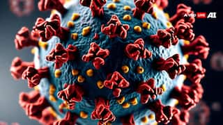 Covid 19 News: कोरोना का प्रोटीन स्वस्थ कोशिकाओं पर करता है हमला, रिसर्च में चौंकाने वाला खुलासा