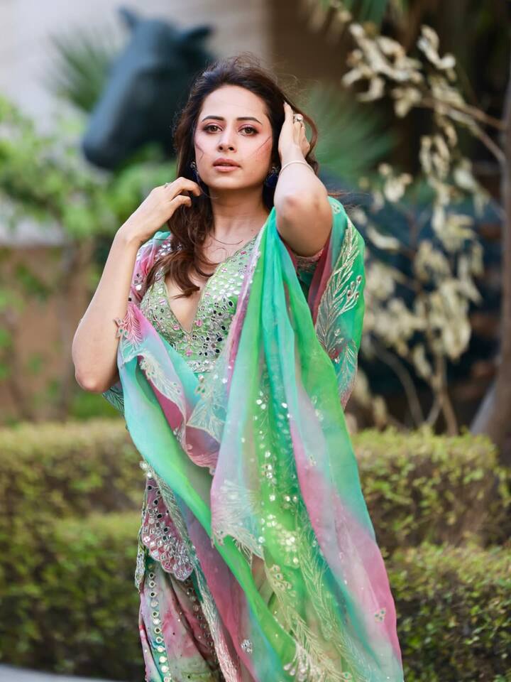 सरगुन मेहता पंजाबी फिल्म इंडस्ट्री की सबसे सफल और हाई पेड एक्ट्रेसेस में शामिल हैं. वह एक फिल्म के लिए 1 से 1.5 करोड़ तक चार्ज करती हैं.