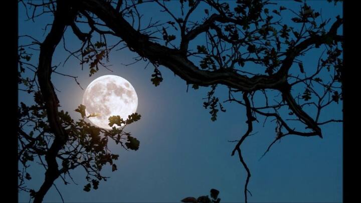 धनु - चंद्र देवाने धनु राशीत भ्रमण केले आहे, जे या राशीसाठी शुभ असेल. करिअरच्या दृष्टीने येणारा काळ खूप शुभ आहे. तुम्हाला अनेक प्रभावशाली लोक भेटतील, ज्यांच्याकडून तुम्हाला खूप काही शिकायला मिळेल. जे आधीच काम करत आहेत, त्यांच्या मेहनतीचे कामाच्या ठिकाणी कौतुक होईल. यावेळी बॉस स्वतः तुमच्या कामाचे कौतुक करतील. व्यावसायिकांना वरिष्ठांचा पाठिंबा मिळेल, ज्यांच्या सल्ल्याने तुमचे नुकसान लवकरच भरून निघेल.