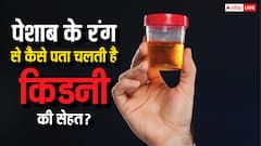 इस रंग का आ रहा पेशाब तो समझ जाएं किडनी हो गई खराब, तुरंत करें डॉक्टर से बात