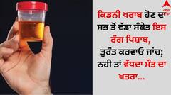 Kidney Disease: ਕਿਡਨੀ ਖਰਾਬ ਹੋਣ ਦਾ ਸਭ ਤੋਂ ਵੱਡਾ ਸੰਕੇਤ ਇਸ ਰੰਗ ਦਾ ਪਿਸ਼ਾਬ, ਤੁਰੰਤ ਕਰਵਾਓ ਜਾਂਚ; ਨਹੀ ਤਾਂ ਵੱਧਦਾ ਮੌਤ ਦਾ ਖਤਰਾ...
