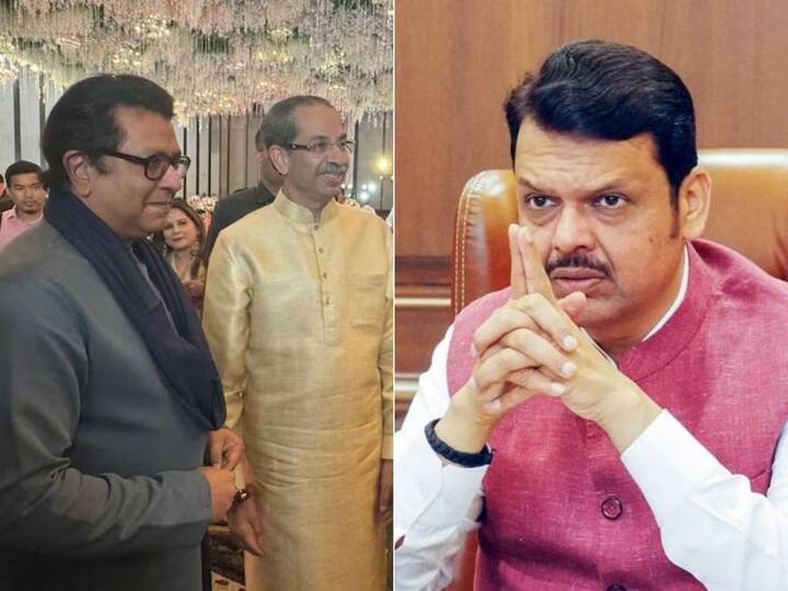 4. ठाकरे बंधू एकत्र येणार या वावड्यांना काही काळ विराम