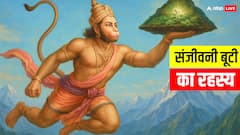 संजीवनी बूटी: रामायण की अमर बूटी का रहस्य, क्या वाकई में कोई ऐसा पौधा है?