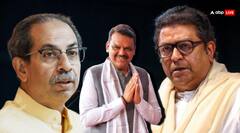 महाराष्ट्र की सियासत में हलचल! अचानक CM देवेंद्र फडणीस से क्यों मिले राज ठाकरे, क्या बन गया यह प्लान?
