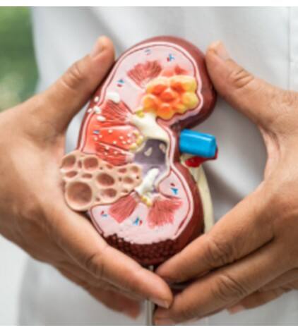 ਸਵੇਰੇ ਦੀਆਂ ਛੱਡ ਦਿਓ ਆਹ ਪੰਜ ਆਦਤਾਂ, ਨਹੀਂ ਤਾਂ Kidney ਹੋ ਜਾਵੇਗੀ ਖਰਾਬ