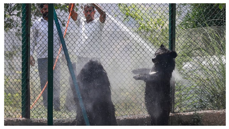 North India Boils: Ganganagar Becomes Hottest At 48°C, IMD Forecasts Relief Over Weekend North India Boils: Ganganagar Becomes Hottest At 48°C, IMD Forecasts Relief Over Weekend