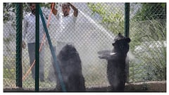 North India Boils: Ganganagar Hits 48°C, IMD Forecasts Relief Over Weekend