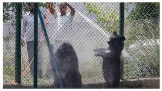 North India Boils: Ganganagar Becomes Hottest At 48°C, IMD Forecasts Relief Over Weekend