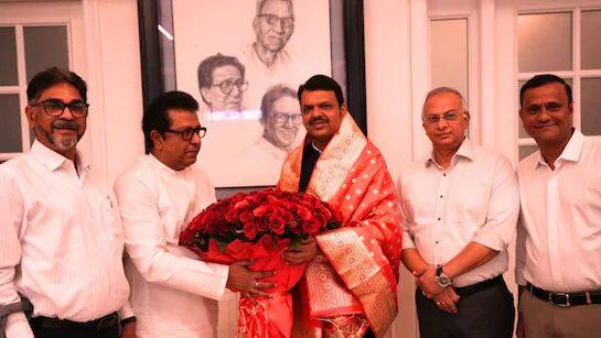 5. राज ठाकरेंची प्रतिमा भाजपकेंद्री करणे