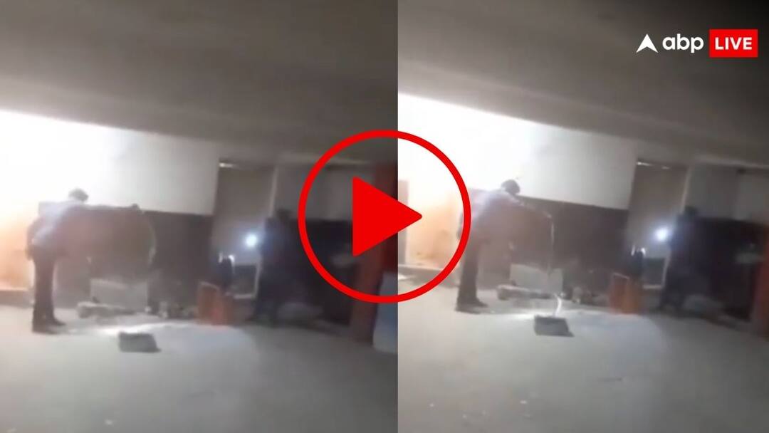 large snake in hyderabad movie theatre parking video goes viral on social mmedia मूवी थिएटर की पार्किंग से निकल आया ये खतरनाक दरिंदा, देखते ही सहम गए लोग