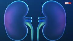 किडनी खराब होने पर शरीर के इन 6 हिस्सों में होने लगता है दर्द, भूलकर भी ना करें इग्नोर