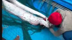 Doomsday Fish: क्या भारत में आने वाली है भयंकर तबाही? दिखा आपदा का सिग्नल, 'समंदर के देवता का दूत' सामने आया