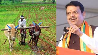 Pradhan Mantri Fasal Bima Yojana: पीक विमा योजनेचा शेवटचा हप्ता कधी मिळणार? शेतकऱ्यांसाठी महत्त्वाची अपडेट