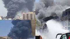 ਅਹਿਮਦਾਬਾਦ ਵਿੱਚ ਏਅਰ ਇੰਡੀਆ ਦਾ ਜਹਾਜ਼ ਹਾਦਸਾਗ੍ਰਸਤ, 242 ਲੋਕਾਂ ਦੇ ਮਾਰੇ ਜਾਣ ਦਾ ਖਦਸ਼ਾ, ਲੰਡਨ ਜਾ ਰਿਹਾ ਸੀ ਜਹਾਜ਼