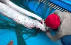 Doomsday Fish: ਭਾਰਤ 'ਚ ਆਉਣ ਵਾਲੀ ਹੈ ਭਿਆਨਕ ਤਬਾਹੀ? ਕੁਦਰਤ ਨੇ ਦਿਖਾਇਆ ਵੱਡਾ ਸੰਕੇਤ; 'ਸਮੁੰਦਰ' ਤੋਂ ਬਾਹਰ ਆਇਆ ਇਹ ਜੀਵ...