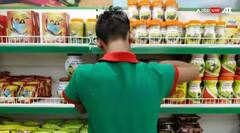 ਇਸ ਕੰਪਨੀ ਨੇ ਬਾਜ਼ਾਰ ‘ਚ ਬਣਾਇਆ ਆਪਣਾ ਦਬਦਬਾ, ਵਿਸ਼ਵ ਬਜ਼ਾਰ ‘ਚ ਛੱਡੀ ਆਪਣੀ ਛਾਪ