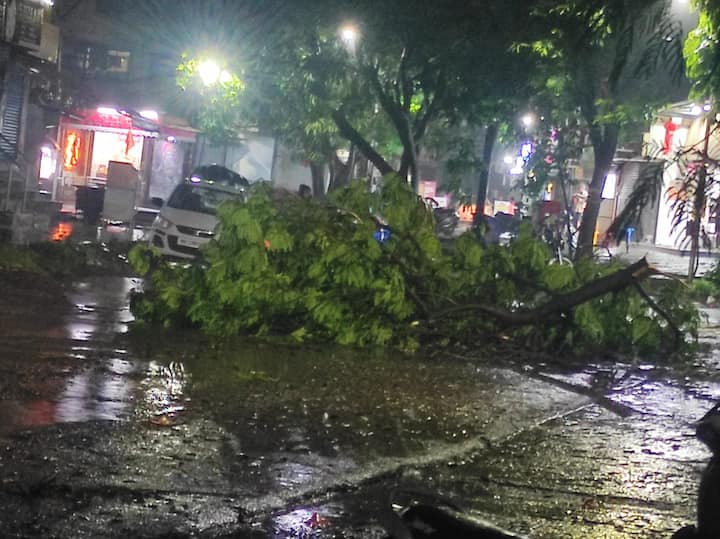 Pune News: पुणे शहरात काल (12 जून) रात्री तूफान पावसाच्या सरी बरसल्या असून अचानक झालेल्या पावसामुळे शहरातील विविध भागात 20 झाडे उन्मळून पडल्याच्या घटना घडल्या आहेत.