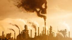 Clean Air: How Nature, Tech & Policy Can Be Combined For A Healthier India