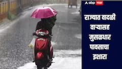 सावधान! वीज वादळ वाऱ्यासह मुसळधार पाऊस पडणार, 'या' भागांना इशारा, पंजाबराव डखांनी वर्तवला नवीन अंदाज
