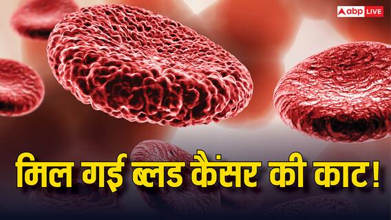 अब 'ट्रोजन हॉर्स' से होगा ब्लड कैंसर का इलाज, इस देश ने तो शुरू कर दिया इस्तेमाल