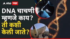 Air India Plane Crash Ahmedabad :  जळालेल्या मृतदेहांची कशी केली जाते DNA चाचणी? कसं केलं जातं नमुना संकलन?