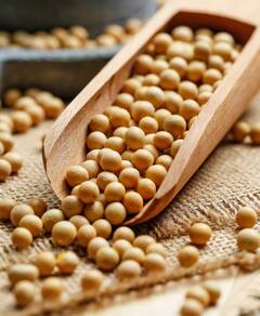 Health News: ਹਾਰਮੋਨ ਬੈਲੇਂਸ ਤੋਂ ਲੈ ਕੇ ਦਿਲ ਲਈ ਫਾਇਦੇਮੰਦ ਇਹ ਚੀਜ਼, ਔਰਤਾਂ ਜ਼ਰੂਰ ਕਰਨ ਸੇਵਨ