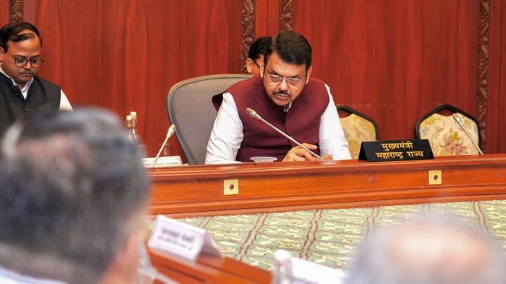 या पुलाच्या एकूण 19 स्तंभांपैकी पूर्वकडील बाजूस 12 तर पश्चिमेकडील बाजूस 7 स्तंभ उभारले आहेत. पुलाच्या दोन्ही बाजूचे पोहोच रस्ते (Approach Roads), मार्गिकांवरील कॉंक्रिट, मास्टिक, ध्वनी रोधक, अपघातरोधक अडथळा (Anti Crash Barriers),  रंगकाम आणि मार्ग रेषा आखणी आदी सर्व कामे पूर्ण होऊन पूल वाहतुकीसाठी उपलब्‍ध झाला आहे.  महानगरपालिकेच्‍या रस्ते आणि वाहतूक विभागाने पश्चिमेकडील बाजूवर वाहतूक थांबा क्षेत्र (Bay) तयार केले आहे.